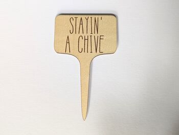 Five Personalized Plant Marker Garden Herb Marker Tags, 9 of 12