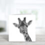 Maya The Giraffe Luxury Blank Greeting Card, thumbnail 1 of 7