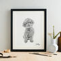 Personalised Pen And Ink Pet Portrait, thumbnail 1 of 10
