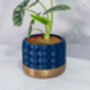 Midnight Hexa Planter, thumbnail 2 of 4