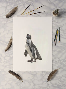 Jackass Penguin Giclée Art Print, 2 of 3