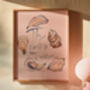 The World Is Your Oyster Illustrated Art Print, thumbnail 5 of 5