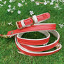 Handmade Italian Leather Dog Puppy Lead In Red, thumbnail 1 of 6