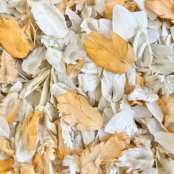 Ivory And Orange Wedding Confetti | Biodegradable Petal, 2 of 3