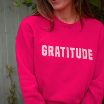 Gratitude Embroidered Sweatshirt, 4 of 5