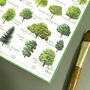 Trees Spotting Journal Notepad, thumbnail 6 of 9