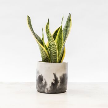 Handmade Eco Plant Pot | Black And Off White, 2 of 5