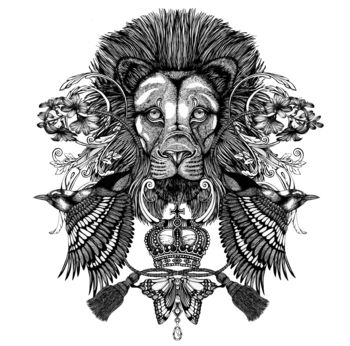 'The Regal Lion' Fine Art Print, 4 of 7