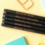 Funny Architect Pencil Set: Form Follows Function, thumbnail 1 of 7