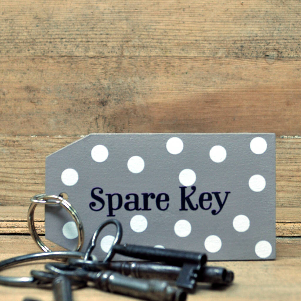 Image of Spotty Spare Key Key Ring