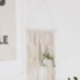 The Macramé Plant Hanger Craft Kit, thumbnail 5 of 9
