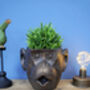 Bronzed Monkey Head Retro Planter Plant Pot, thumbnail 7 of 7