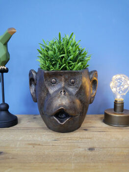 Bronzed Monkey Head Retro Planter Plant Pot, 7 of 7