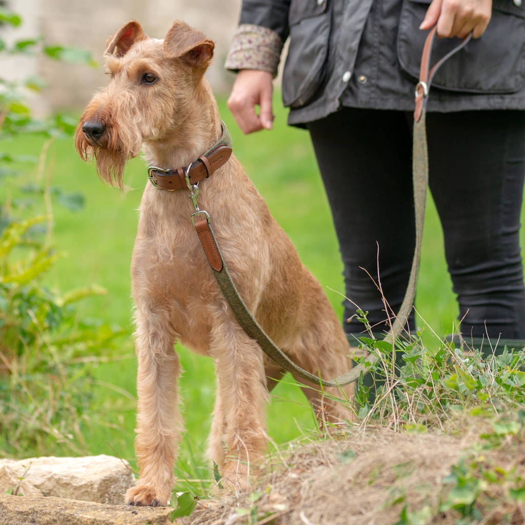 tweed dog collar and lead