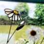 Daisy Stained Glass Everlasting Flowers, thumbnail 5 of 8