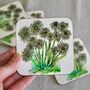 Daisy Floral Coaster, thumbnail 1 of 3