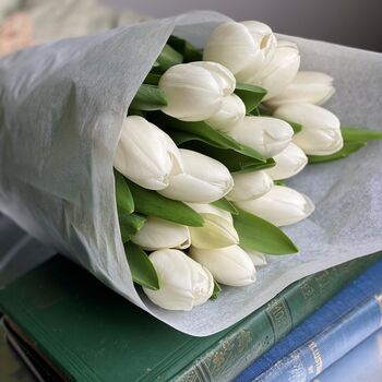 Wrapped Cut White Fresh Tulips, 4 of 10