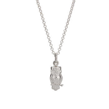 Sterling Silver Wise Owl Charm Necklace, 6 of 7