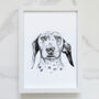 Personalised Pet Portrait Drawing, thumbnail 5 of 11