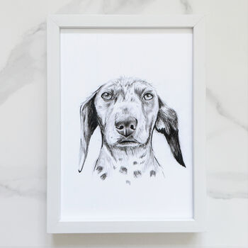 Personalised Pet Portrait Drawing, 5 of 11