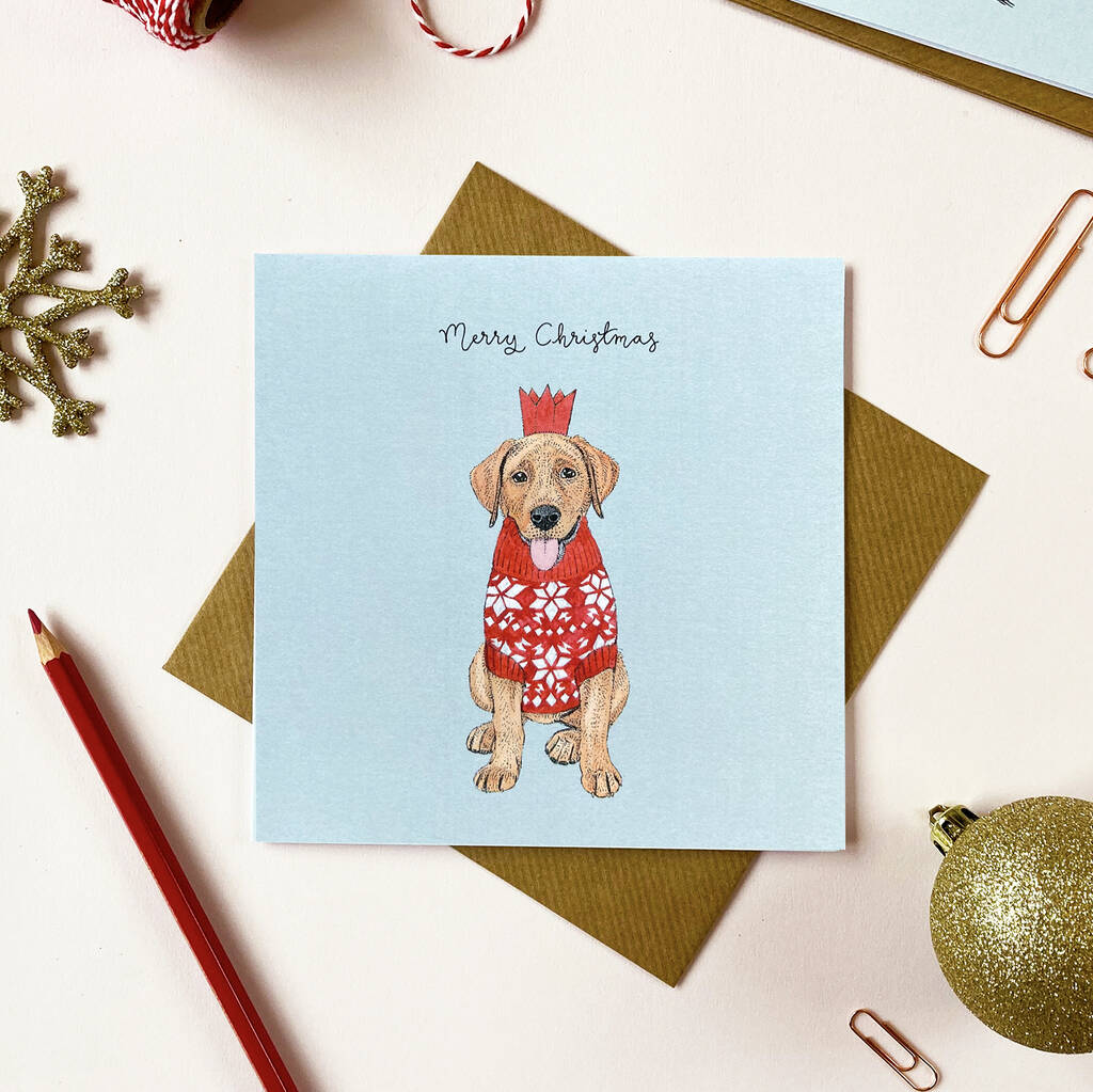 Festive Fox Red Labrador Christmas Card By Amelia Illustration