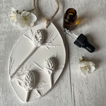 Sea Holly Gift Botanical Home Air Freshener, 4 of 5