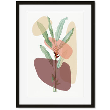Botanical Illustration With Shapes Art Print By Abstract House