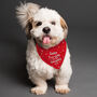 Personalised Too Cute For The Naughty List Dog Bandana, thumbnail 4 of 4