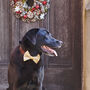Artisan Dog Treats – Handmade In Norfolk, thumbnail 9 of 12