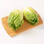 Salad Plants Lettuce 'Little Gem' Plug Plant Packs, thumbnail 5 of 8