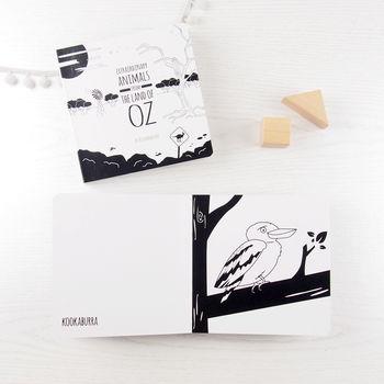 Three Black And White Baby Books With Flash Cards, 5 of 6
