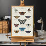 British Butterfly Art Poster, thumbnail 5 of 10