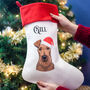 Personalised Santa Dog Christmas Stocking, thumbnail 12 of 12