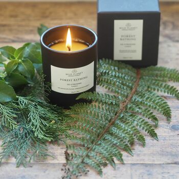 Forest Bathing Aromatherapy Vegan Candle, 4 of 12