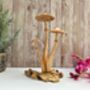 Wooden Mushroom Statue Teak Root Toadstool Nature Gift, thumbnail 9 of 10