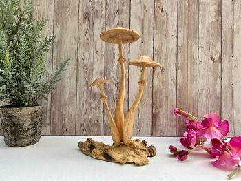 Wooden Mushroom Statue Teak Root Toadstool Nature Gift, 9 of 10