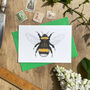Hand Drawn Bumblebee Illustrated Blank Greeting Card, thumbnail 1 of 10
