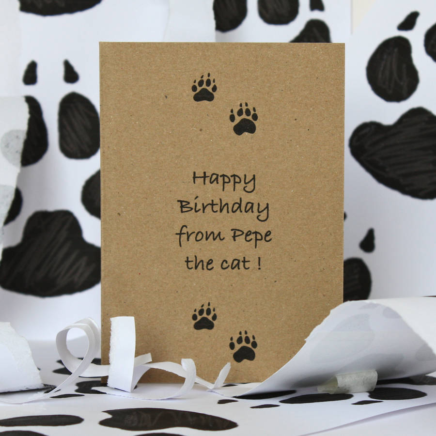 Birthday Card From The Cat