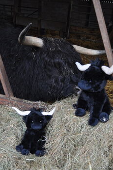 Personalised Black Longhorn Highland 18cm Cow Soft Toy Brown, 6 of 11