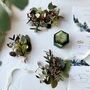 Preserved Eucalyptus Woodland Boutonniere, thumbnail 4 of 4