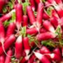 Radish 'French Breakfast' Seeds, thumbnail 3 of 4