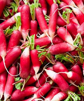 Radish 'French Breakfast' Seeds, 3 of 4