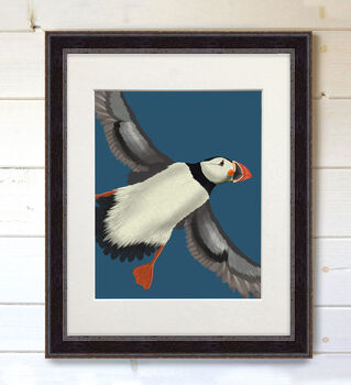 Puffin In Flight Art Print Framed Or Unframed, 6 of 7