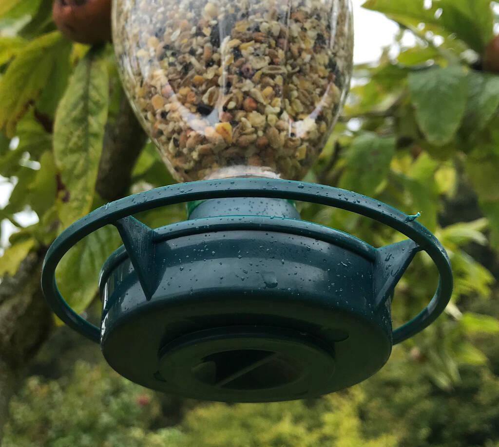 Eco Bottle Top Bird Feeders By Garden Selections