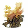 Flowering Tea Sampler Tin Five Different Blooms, thumbnail 6 of 9