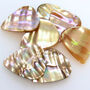 Abalone Tones Guitar Plectrums In A Gift Tin, thumbnail 3 of 8
