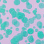 Turquoise Wedding Confetti | Biodegradable Confetti, thumbnail 1 of 7