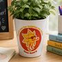 'Ray Of Sunshine' Personalised Thank You Teacher Plant Pot, thumbnail 1 of 2