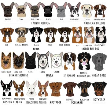 Personalised You And Your Pet To School Backpack, 11 of 12