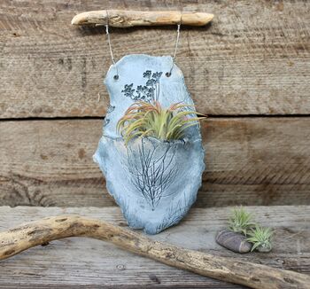 Ceramic And Drift Wood Wall Planter, 2 of 7